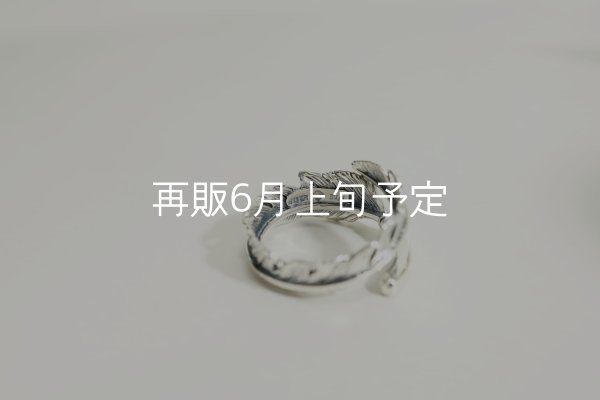 画像5: 風切羽リング  (5)