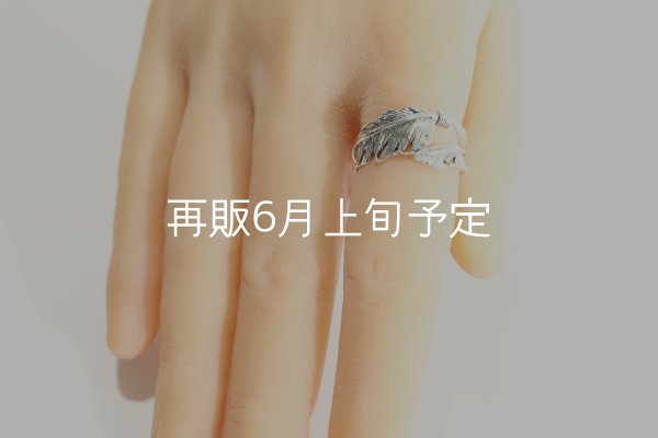 画像9: 風切羽リング  (9)