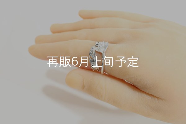 画像7: 風切羽リング  (7)