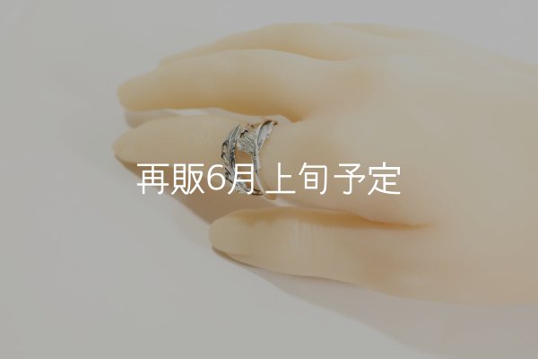 画像10: 風切羽リング  (10)