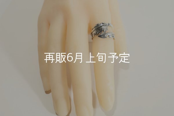画像12: 風切羽リング  (12)