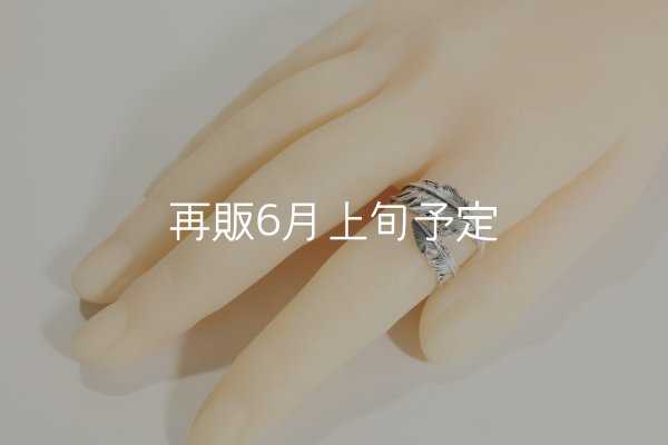 画像13: 風切羽リング  (13)