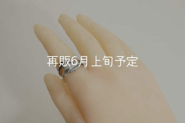画像11: 風切羽リング  (11)