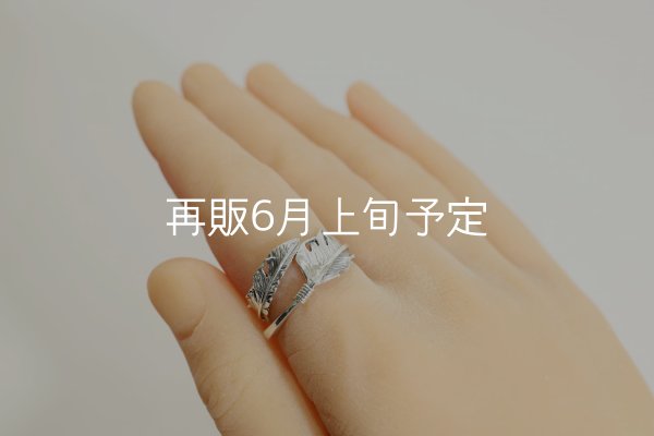 画像8: 風切羽リング  (8)