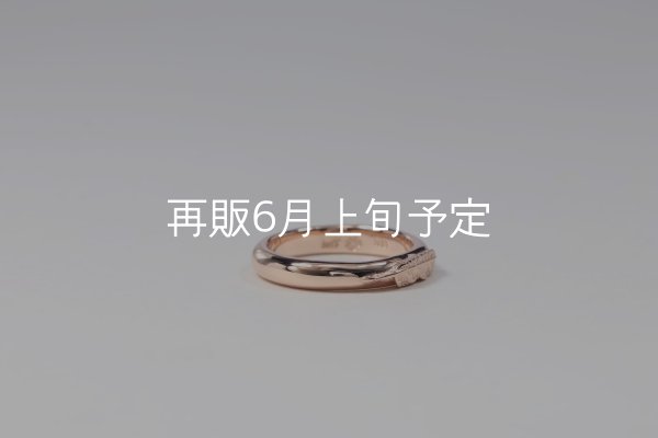 画像4: ラウンドフェザーリング ｜K10PG｜  (4)