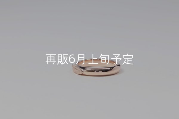 画像2: ラウンドフェザーリング ｜K10PG｜  (2)