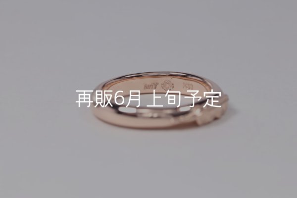 画像5: ラウンドフェザーリング ｜K10PG｜  (5)