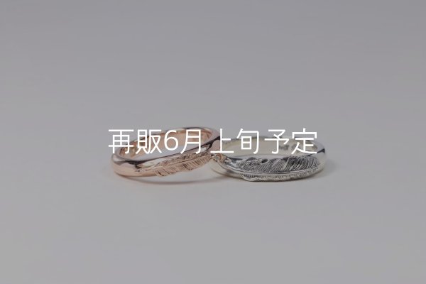 画像2: ラウンドフェザーリング [ペア] ｜K10PG/SV925｜  (2)