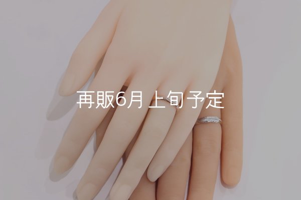 画像1: ラウンドフェザーリング [ペア] ｜K10PG/SV925｜  (1)