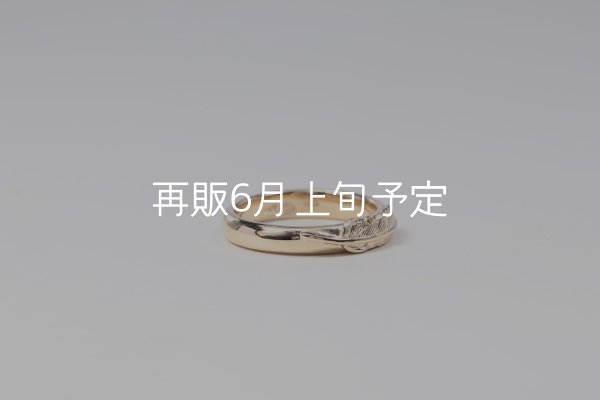 画像4: ラウンドフェザーリング ｜K10YG｜  (4)