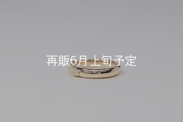 画像2: ラウンドフェザーリング ｜K10YG｜  (2)