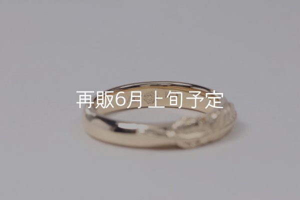 画像5: ラウンドフェザーリング ｜K10YG｜  (5)