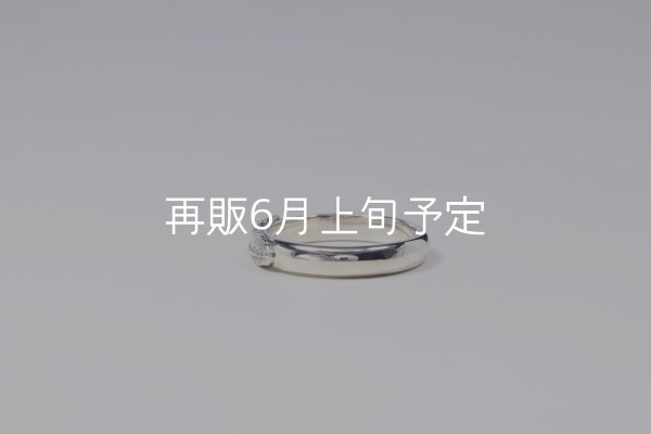 画像2: ラウンドフェザーリング  (2)