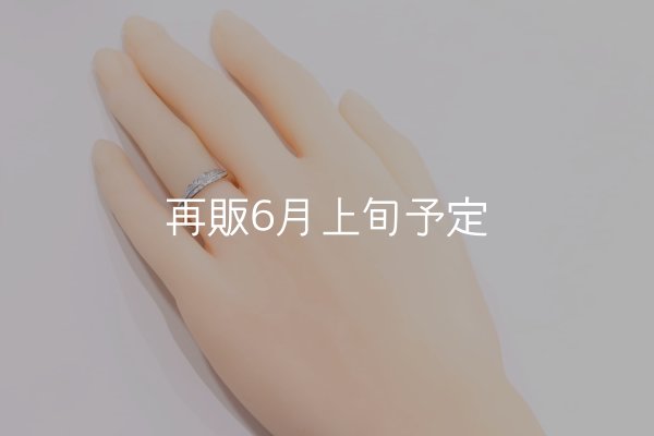 画像7: ラウンドフェザーリング  (7)