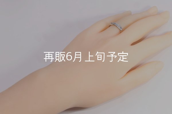 画像8: ラウンドフェザーリング  (8)