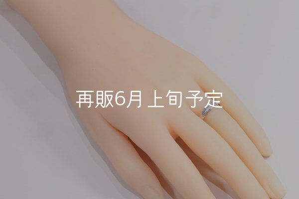 画像9: ラウンドフェザーリング  (9)