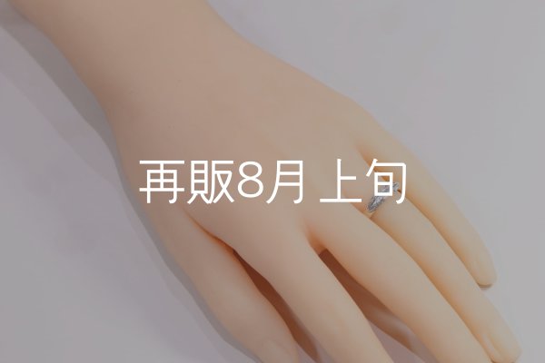 画像9: ラウンドフェザーリング  (9)