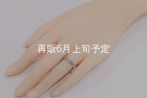 画像10: ラウンドフェザーリング  (10)