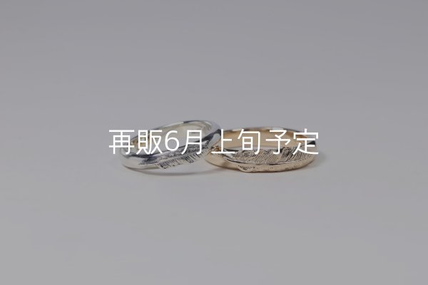 画像2: ラウンドフェザーリング [ペア] ｜SV925/K10YG｜  (2)