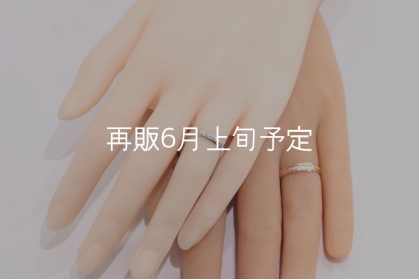 画像1: ラウンドフェザーリング [ペア] ｜SV925/K10YG｜  (1)