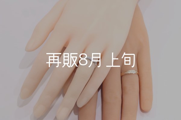 画像1: ラウンドフェザーリング [ペア] ｜SV925/K10YG｜  (1)