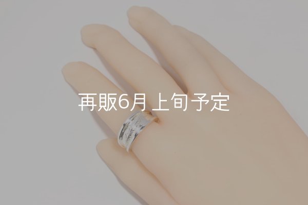 画像5: テーパーフェザーリング  (5)