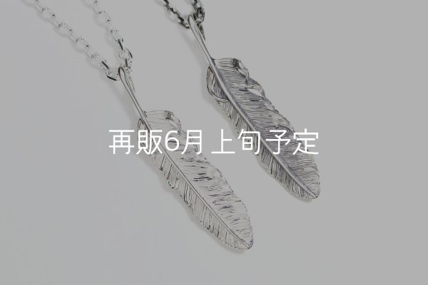 画像6: 千年フェザー(L1)  クローフック/アローメディスン 『チェーン50cm』  (6)