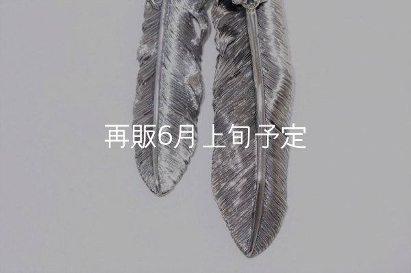 画像5: Wフェザーネックレス (L1/LL2オニキス)  クローフック/アローメディスン 『チェーン50cm』  (5)