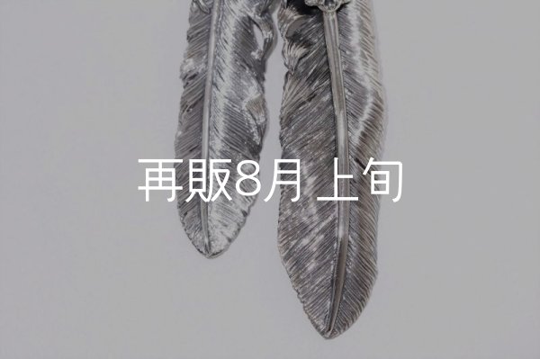 画像5: Wフェザーネックレス (L1/LL2オニキス)  クローフック/アローメディスン 『チェーン50cm』  (5)