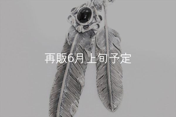 画像3: Wフェザーネックレス (L1オニキス/M1)  クローフック/スターメディスン 『チェーン50cm』  (3)