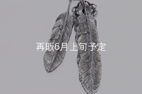 画像4: Wフェザーネックレス (L1オニキス/M1)  クローフック/スターメディスン 『チェーン50cm』  (4)