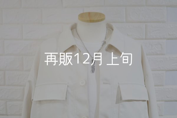 画像6: 千年フェザー(L2オニキス)  クローフック/スターメディスン 『チェーン50cm』  (6)