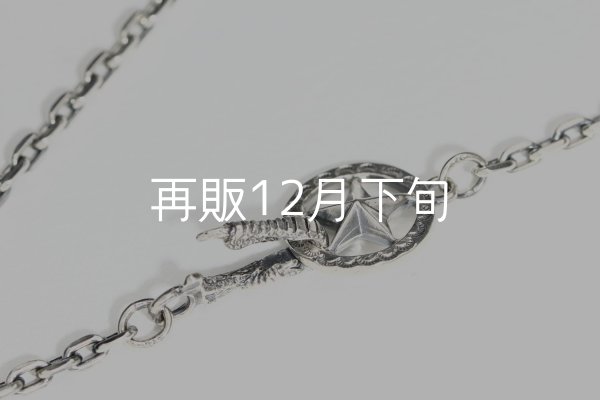 画像5:  Wフェザーネックレス (M1/L2オニキス)   クローフック/スターメディスン 『チェーン50cm』  (5)