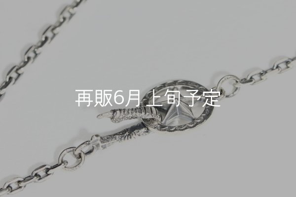 画像5:  Wフェザーネックレス (M1/L2オニキス)   クローフック/スターメディスン 『チェーン50cm』  (5)