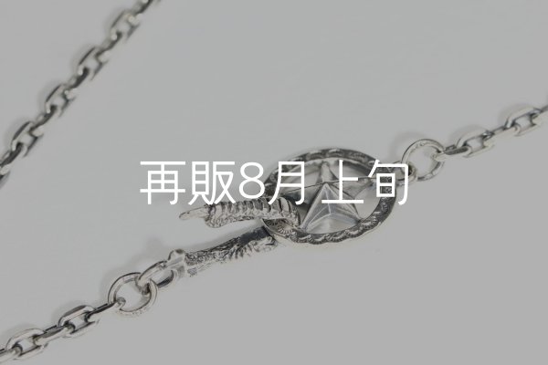 画像5:  Wフェザーネックレス (M1/L2オニキス)   クローフック/スターメディスン 『チェーン50cm』  (5)