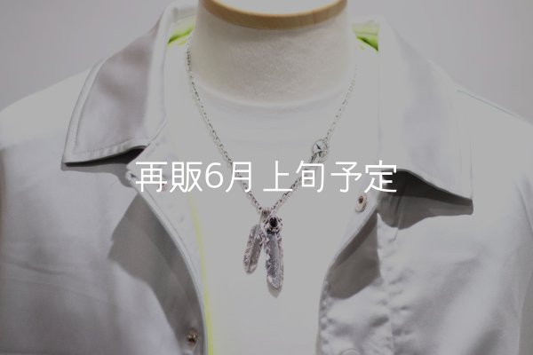 画像8:  Wフェザーネックレス (M1/L2オニキス)   クローフック/スターメディスン 『チェーン50cm』  (8)