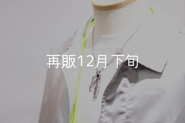 画像9:  Wフェザーネックレス (M1/L2オニキス)   クローフック/スターメディスン 『チェーン50cm』  (9)