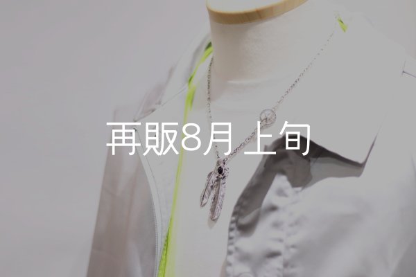画像9:  Wフェザーネックレス (M1/L2オニキス)   クローフック/スターメディスン 『チェーン50cm』  (9)