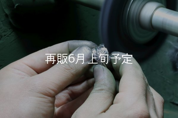 画像1: クリーニング (磨き)  (1)