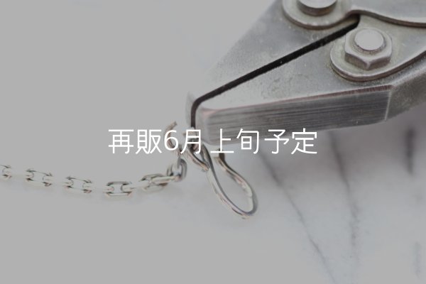 画像5: スターフックチェーン  (5)