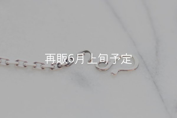 丸カンとフックが外れましたら、チェーンにお好きなフェザー等を通すことが出来ます。