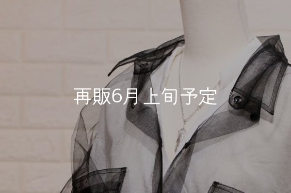 画像8: 千年フェザー(M2) スターフックペンダント 『チェーン45cm』  (8)