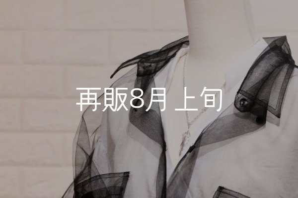 画像8: 千年フェザー(M2) スターフックペンダント 『チェーン45cm』  (8)